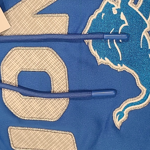 NFL Detriot Lions Hooded Sweatshirt Size Medium - Picture 6 of 8